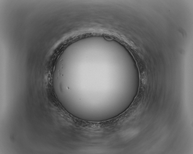 X0000113141495200909181719