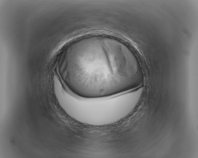 X0000113141496200909181719