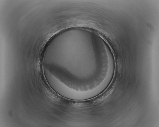 X0000113141497200909181719