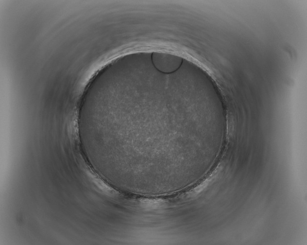 X0000113141498200909181719