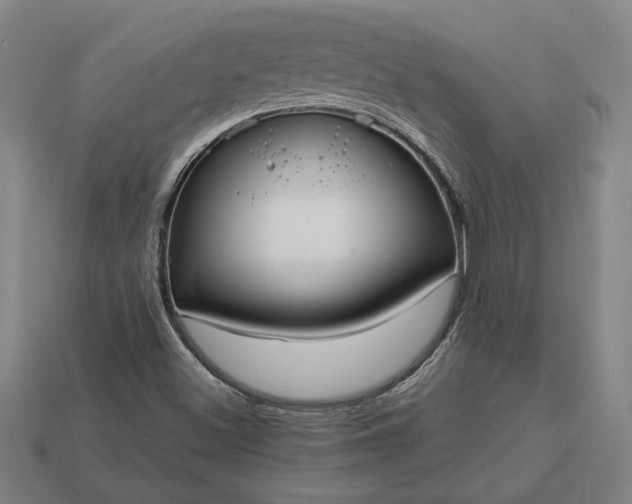 X0000113141500200909181719