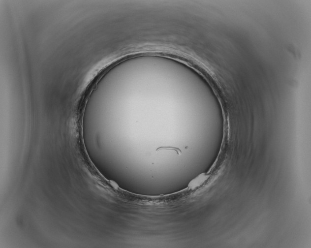 X0000113141501200909181719