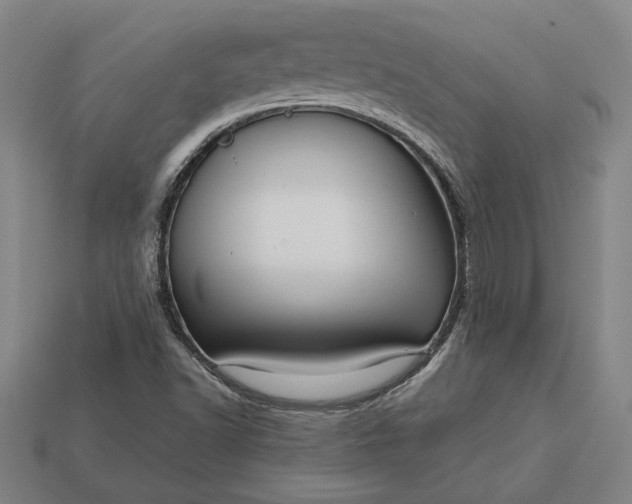 X0000113141502200909181719