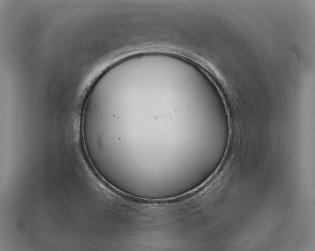 X0000113141504200909181719