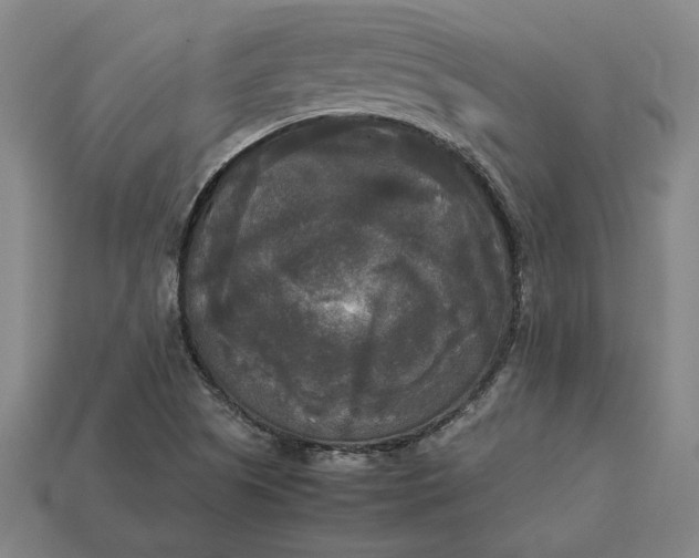 X0000113141505200909181719