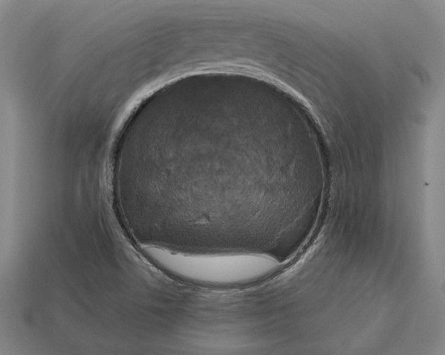 X0000113141506200909181719