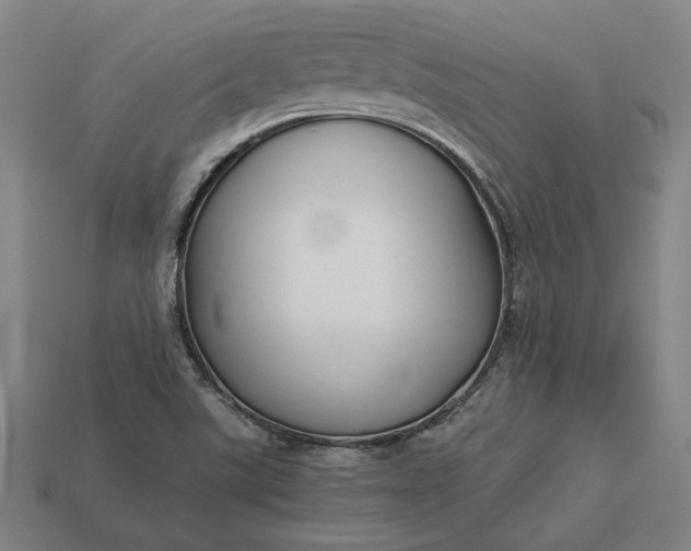 X0000113141507200909181719