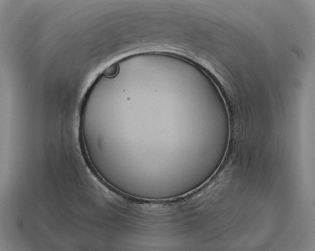 X0000113141508200909181719