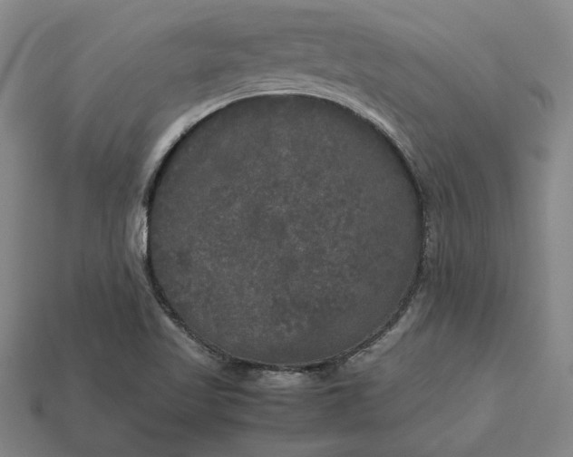 X0000113141509200909181719