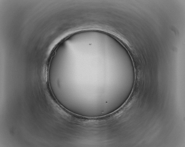 X0000113141510200909181719