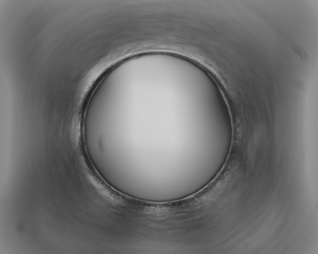 X0000113141511200909181719