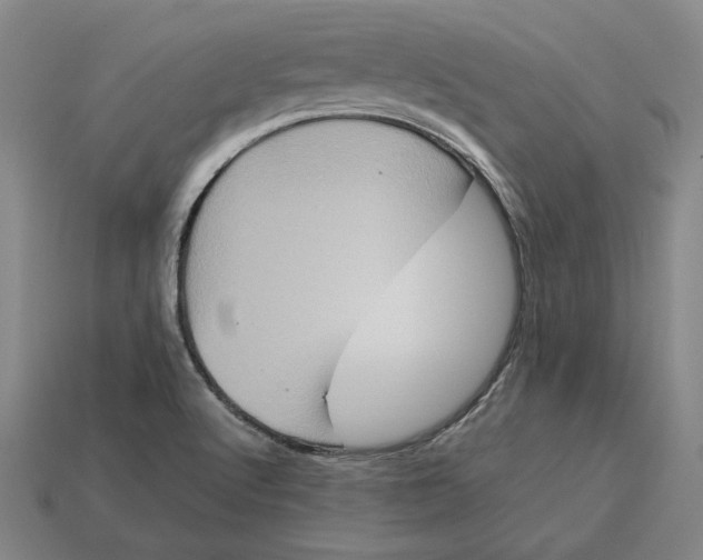 X0000113141512200909181719