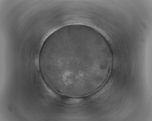 X0000113141513200909181719