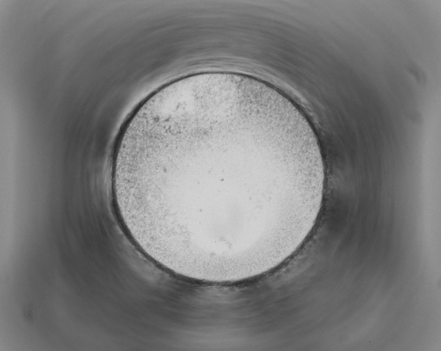 X0000113141514200909181719