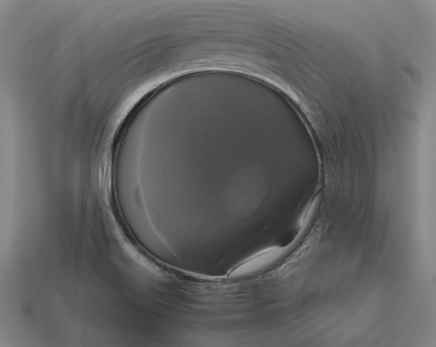 X0000113141515200909181719