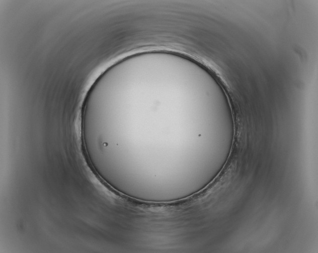 X0000113141516200909181719