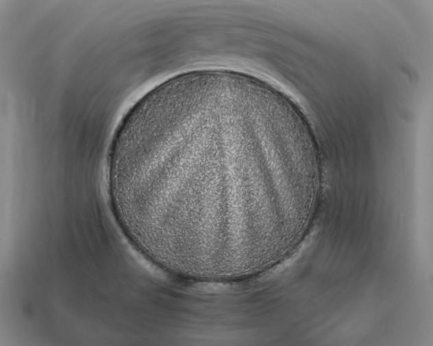 X0000113141517200909181719