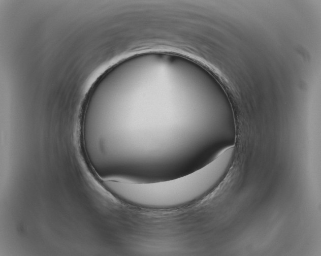 X0000113141518200909181719