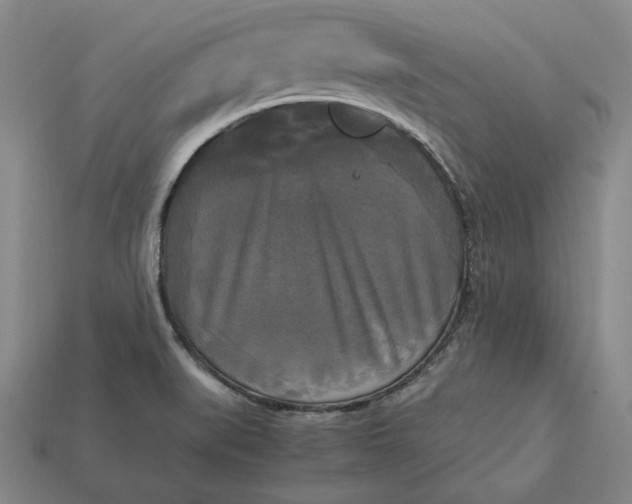 X0000113141519200909181719