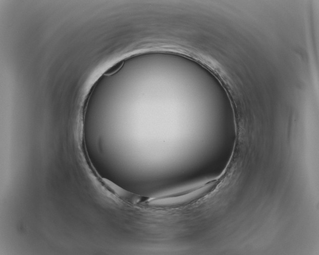 X0000113141520200909181719