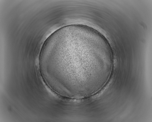 X0000113141521200909181719