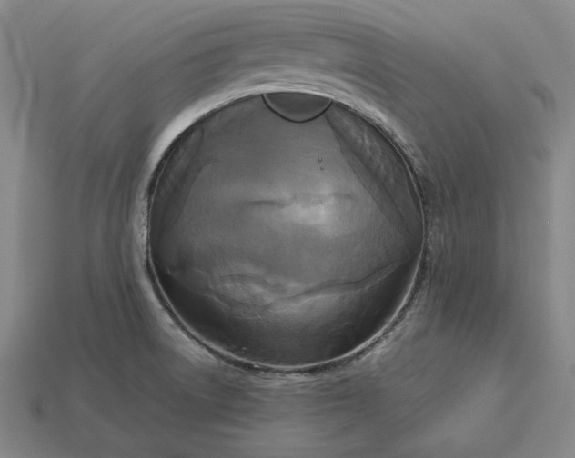 X0000113141522200909181719