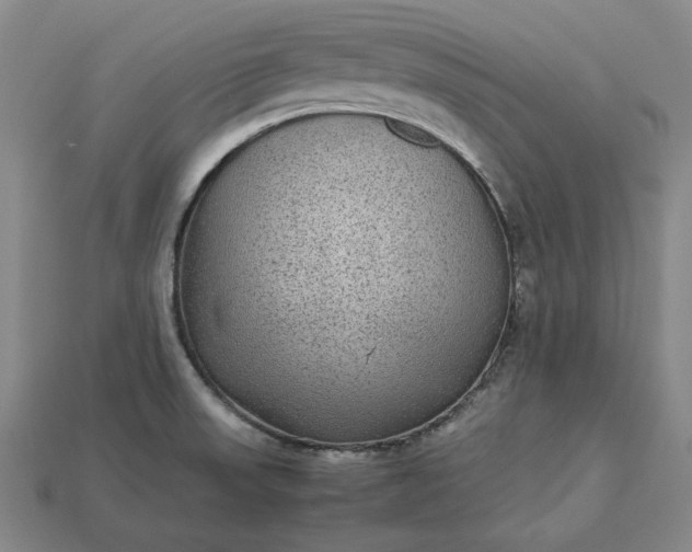 X0000113141523200909181719