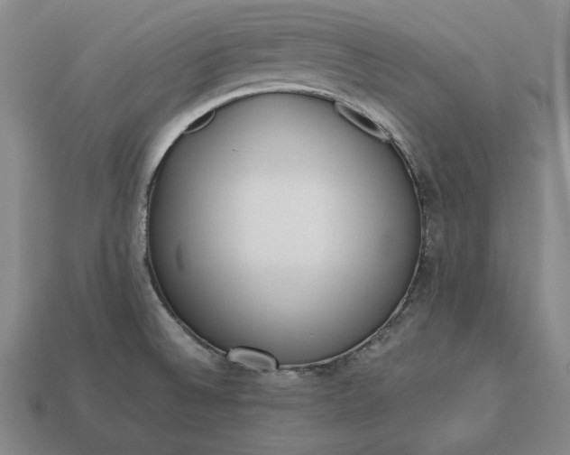 X0000113141524200909181719