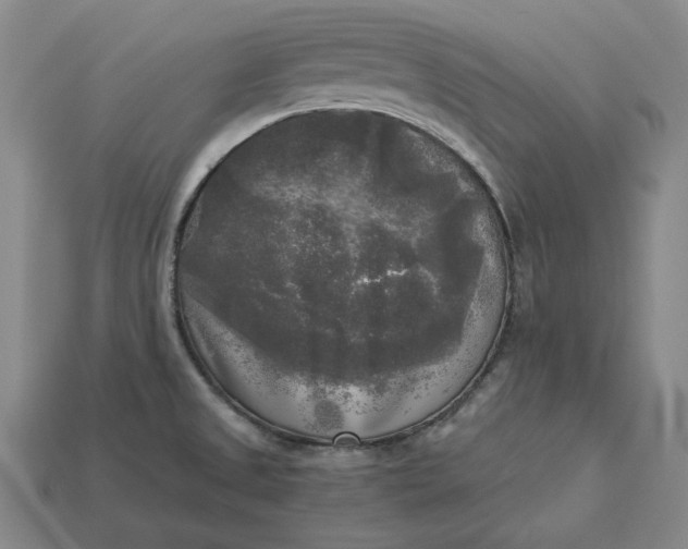 X0000113141525200909181719