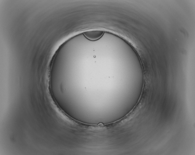 X0000113141526200909181719