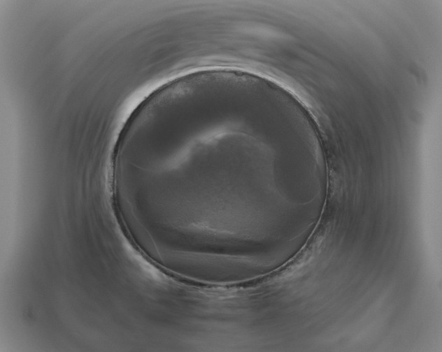 X0000113141527200909181719