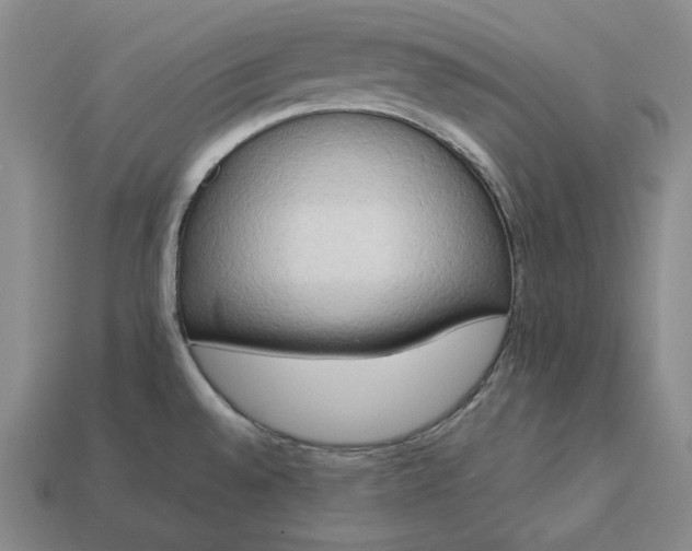 X0000113141528200909181719