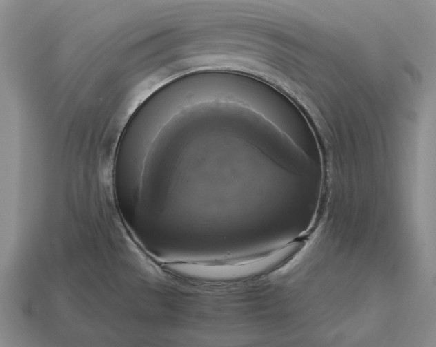 X0000113141529200909181719