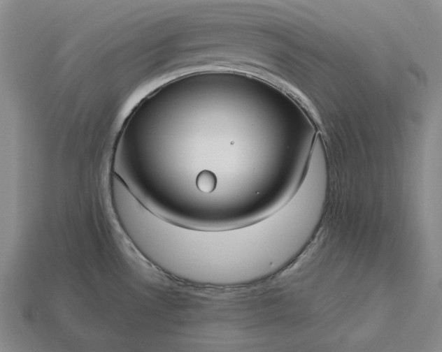 X0000113141530200909181719