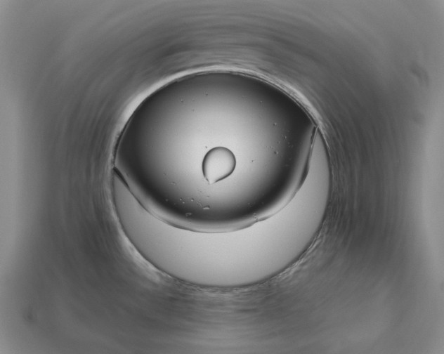 X0000113141532200909181719