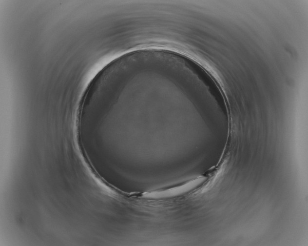 X0000113141533200909181719