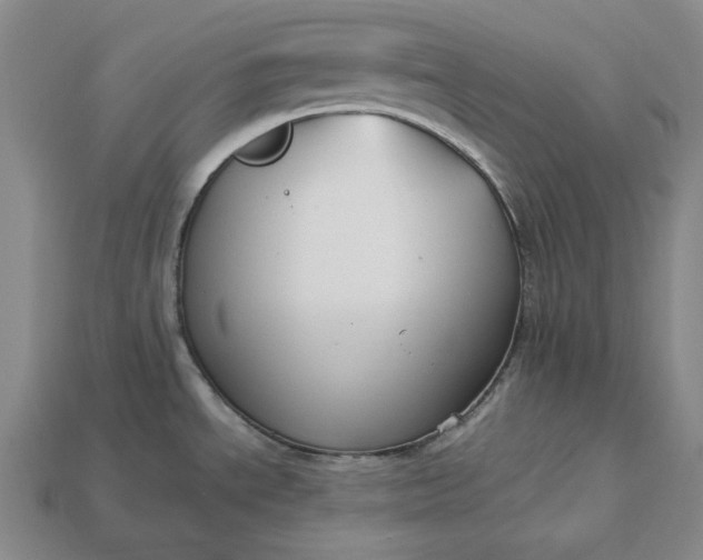 X0000113141534200909181719