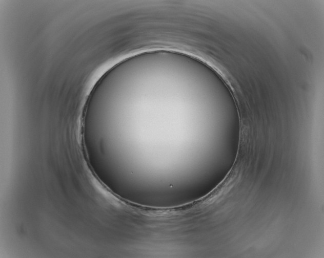 X0000113141535200909181719