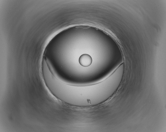 X0000113141536200909181719