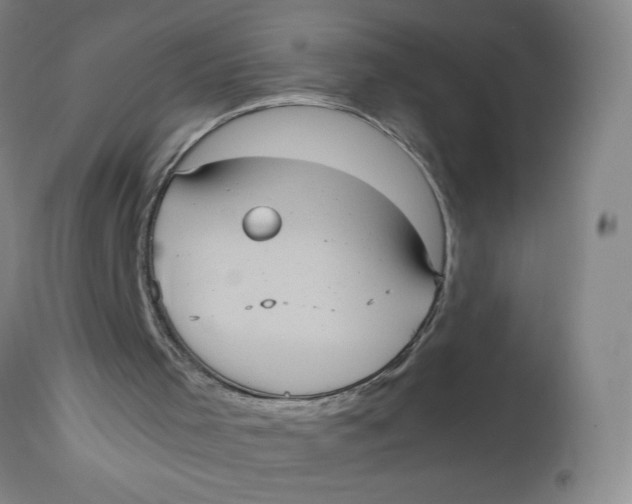 X0000113140001200909251315