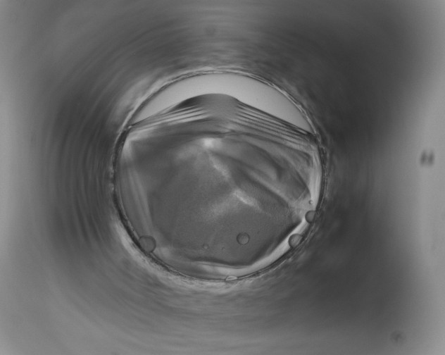 X0000113140002200909251315