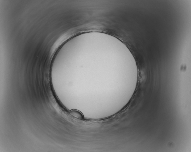 X0000113140004200909251315