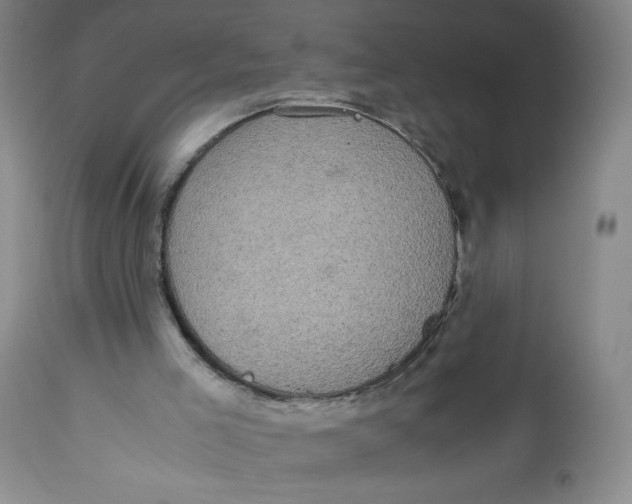 X0000113140005200909251315