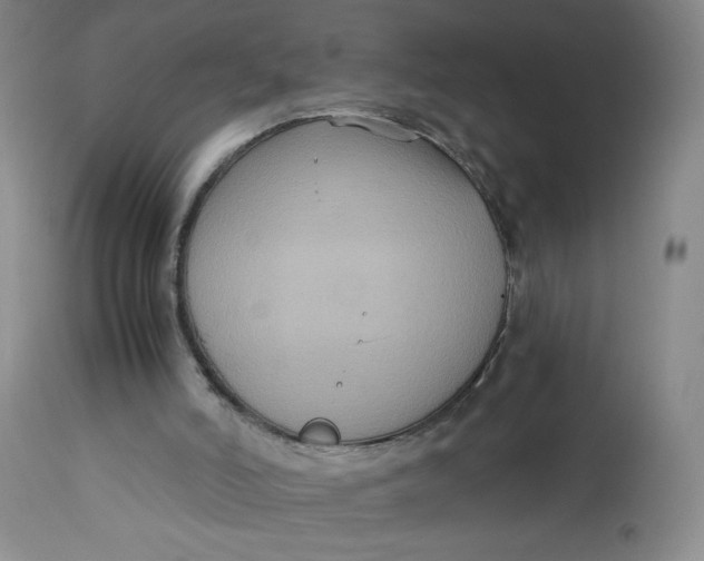 X0000113140006200909251315