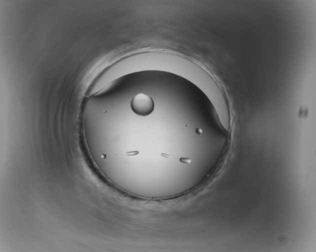 X0000113140007200909251315