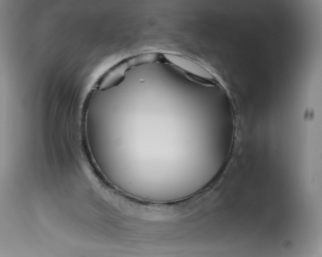 X0000113140008200909251315