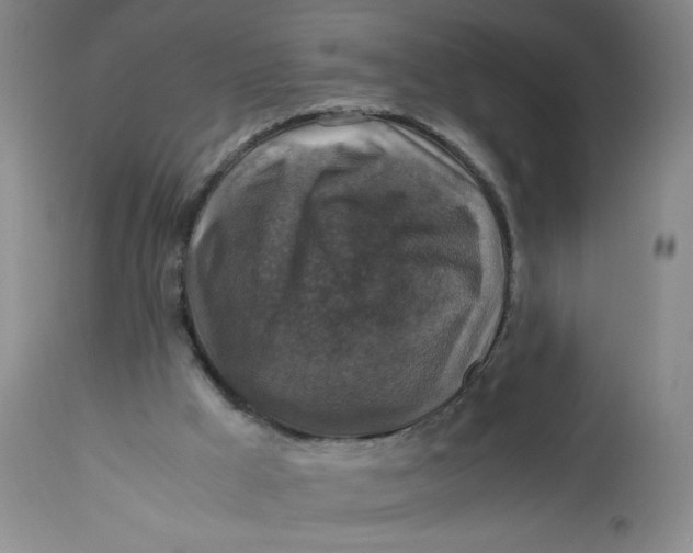 X0000113140009200909251315