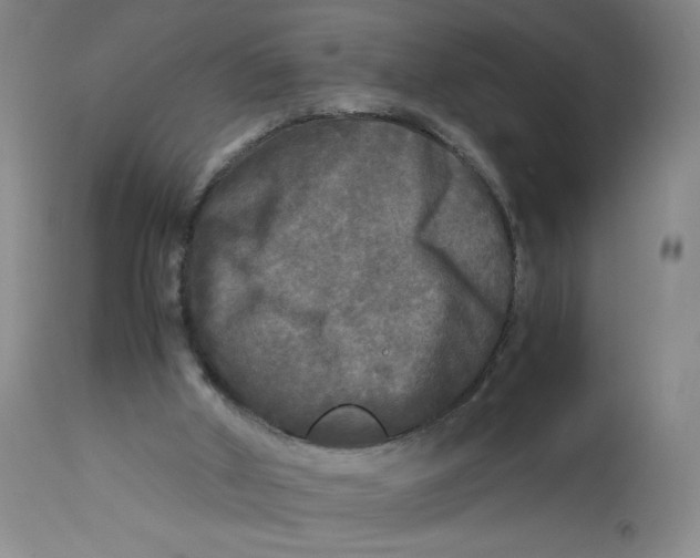 X0000113140010200909251315