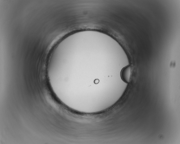 X0000113140012200909251315