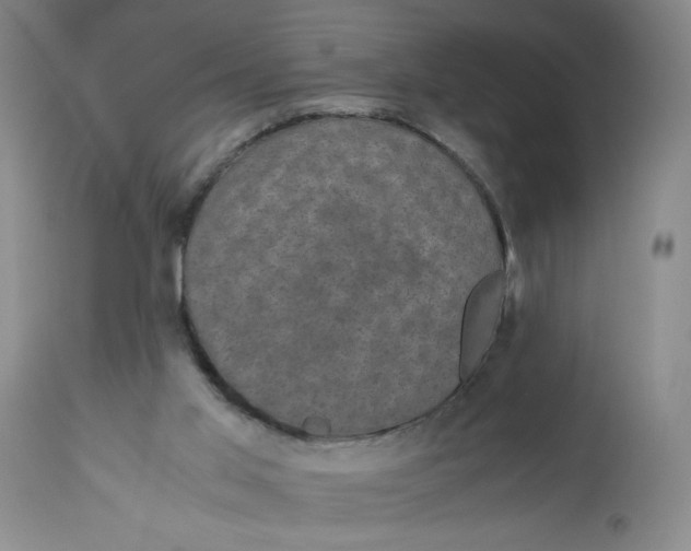 X0000113140013200909251315